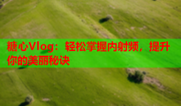 糖心Vlog：轻松掌握内射频，提升你的美丽秘诀