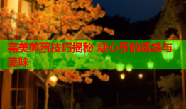 完美煎蛋技巧揭秘 糖心蛋的诱惑与美味