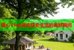 糖心Vlog带你探索生活的美好瞬间