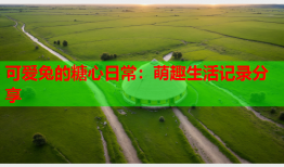可爱兔的糖心日常：萌趣生活记录分享