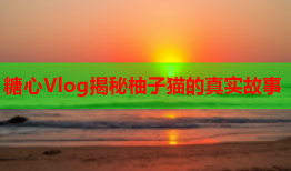 糖心Vlog揭秘柚子猫的真实故事