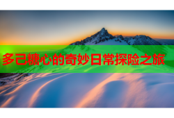 多己糖心的奇妙日常探险之旅