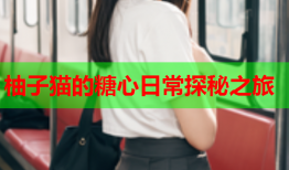 柚子猫的糖心日常探秘之旅