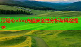 污糖心vlog充值安全性分析与风险提示