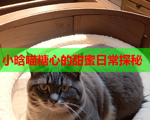 小晗喵糖心的甜蜜日常探秘