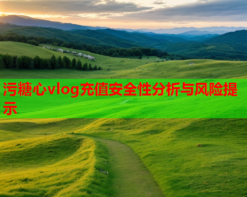 污糖心vlog充值安全性分析与风险提示