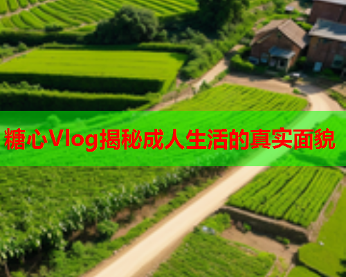 糖心Vlog揭秘成人生活的真实面貌