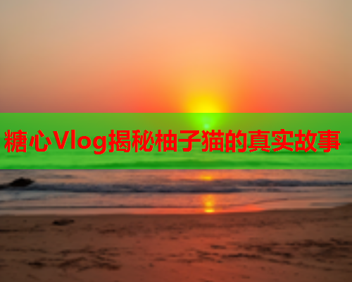 糖心Vlog揭秘柚子猫的真实故事