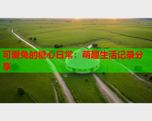 可爱兔的糖心日常：萌趣生活记录分享