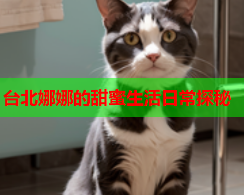 台北娜娜的甜蜜生活日常探秘