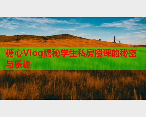 糖心Vlog揭秘学生私房授课的秘密与乐趣